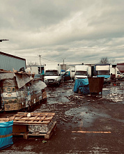 ������������ ����� from Dusk till Dawn. ������������ ������� � ���, ��� �������� ������������ ����� � �������� ������