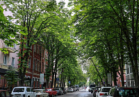 ���� ������. ��������� ������ � ��������� ������� ���������� �� ��������� ������ �������� � ��������
